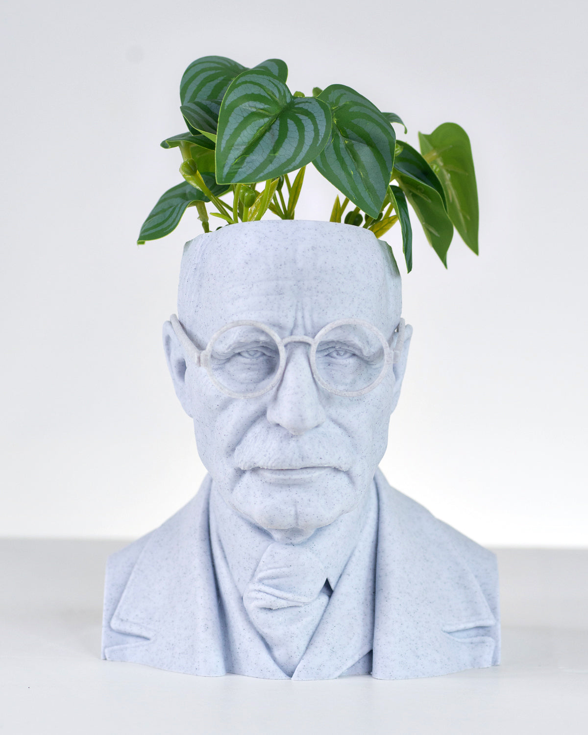 White Marble Carl Jung bust planter with no base by Happy Box Designs