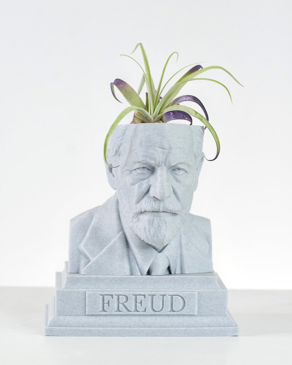Sigmund Freud bust planter for a psychology lover by Happy Box Designs