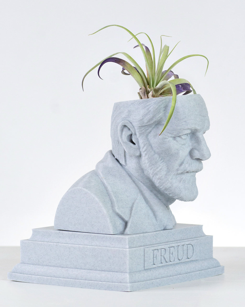 Sigmund Freud bust planter for a psychology lover by Happy Box Designs