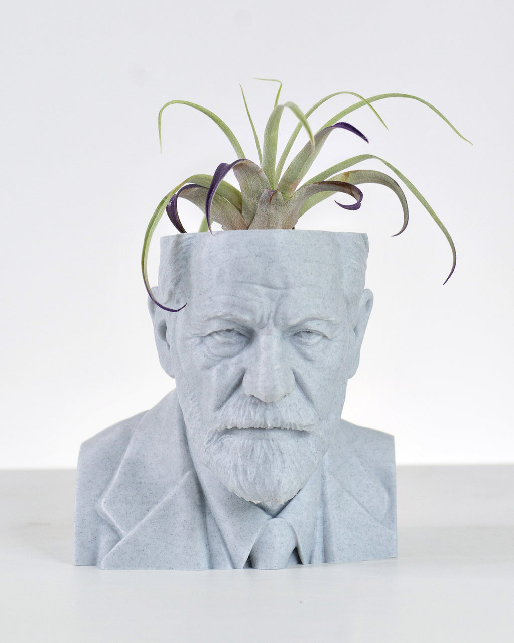 Sigmund Freud bust planter with no base for a psychology lover by Happy Box Designs