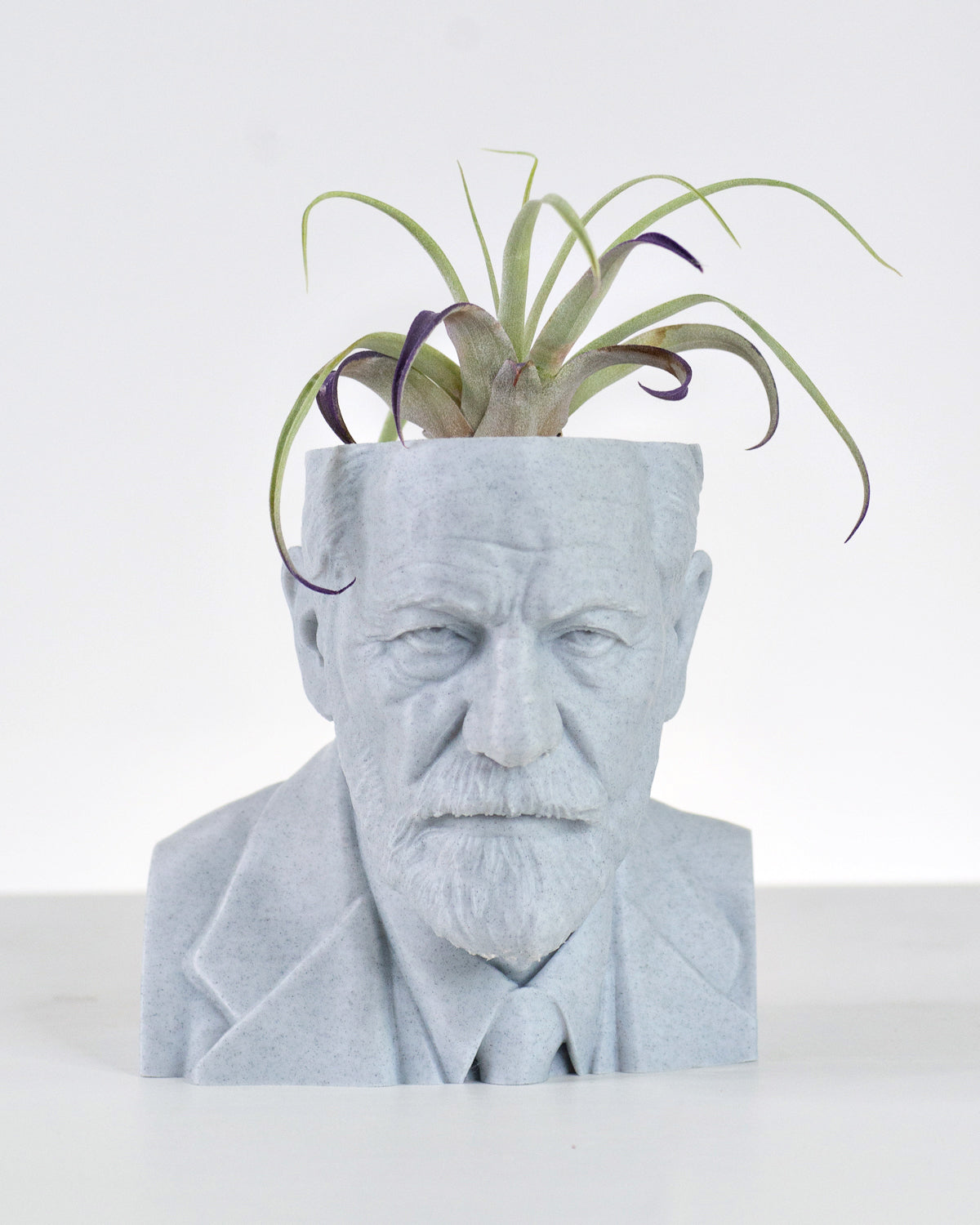 Sigmund Freud bust planter with no base for a psychology lover by Happy Box Designs