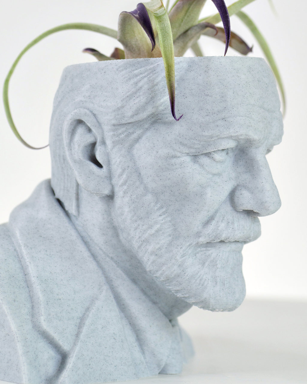 Sigmund Freud bust planter for a psychology lover by Happy Box Designs