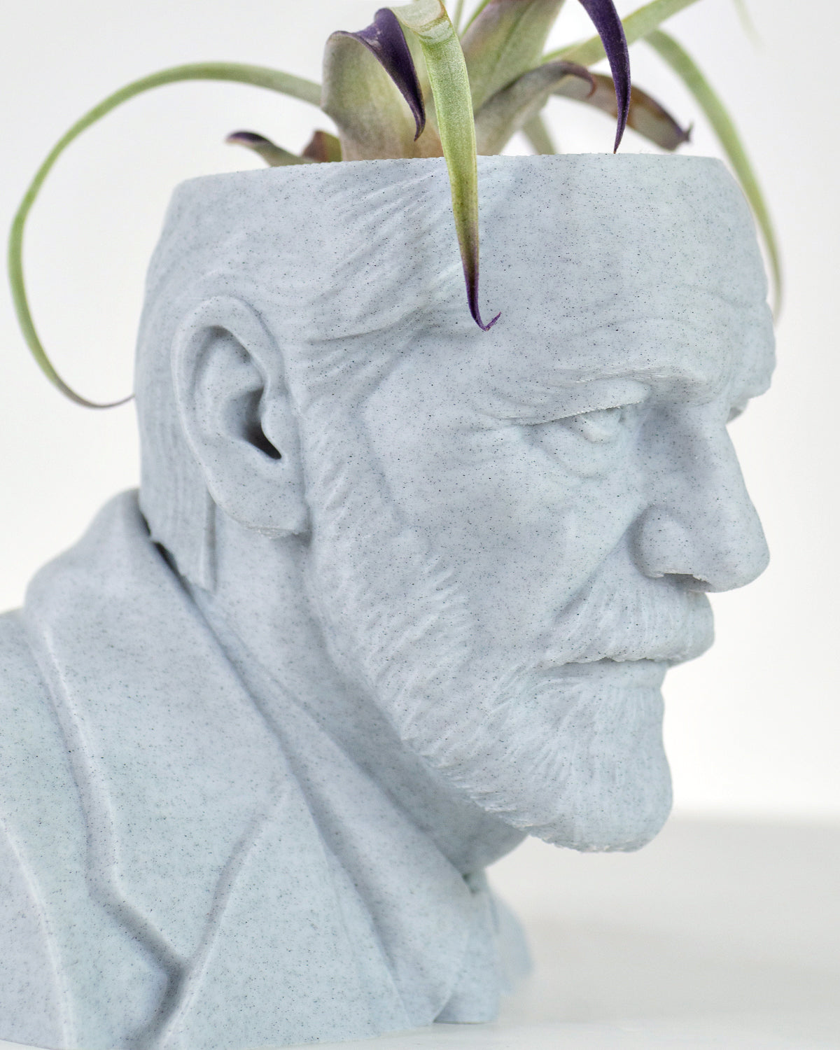 Sigmund Freud bust planter for a psychology lover by Happy Box Designs